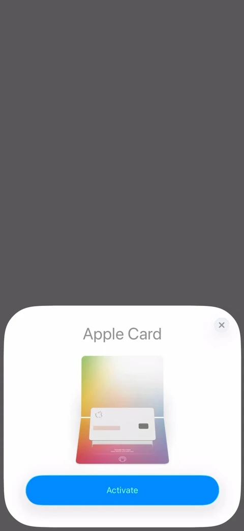 Apple Wallet 130