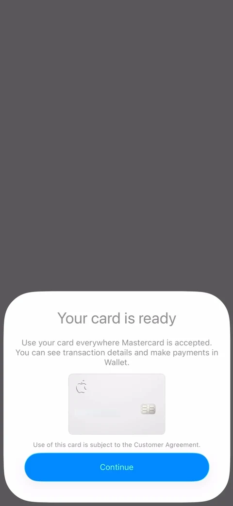 Apple Wallet 132