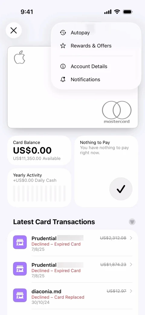 Apple Wallet 60