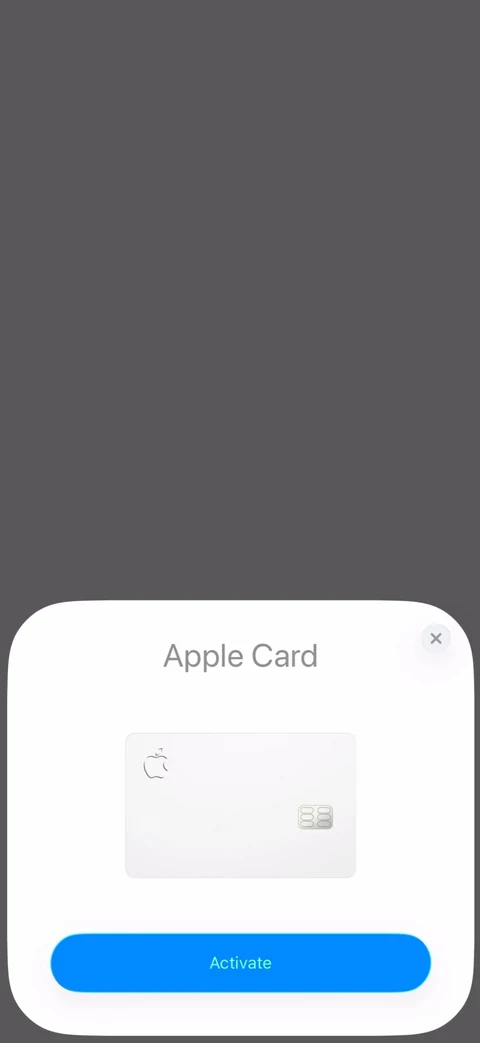 Apple Wallet 131