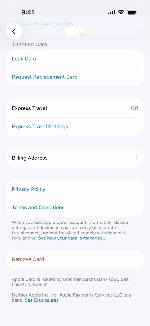Apple Wallet 75