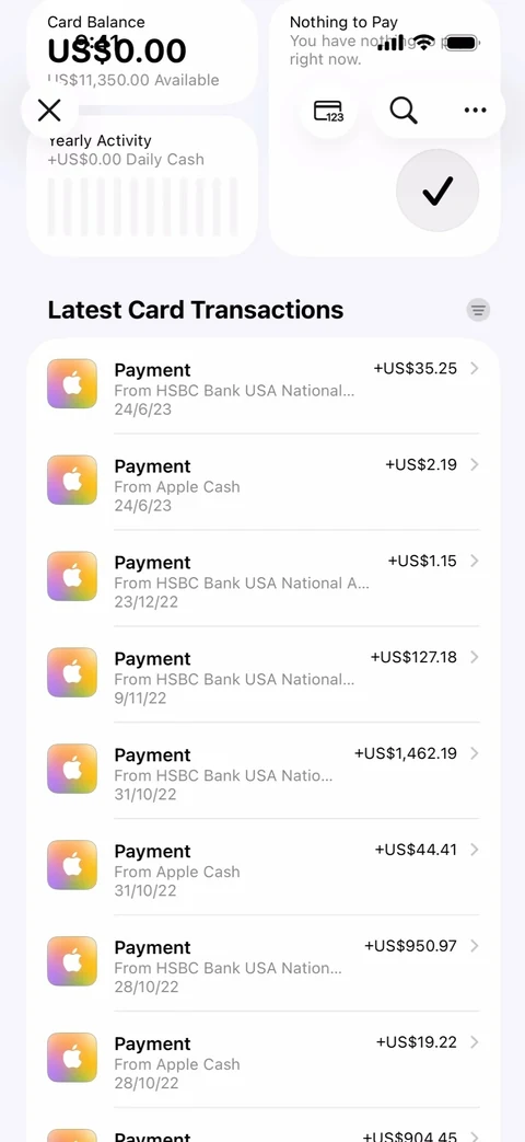 Apple Wallet 52
