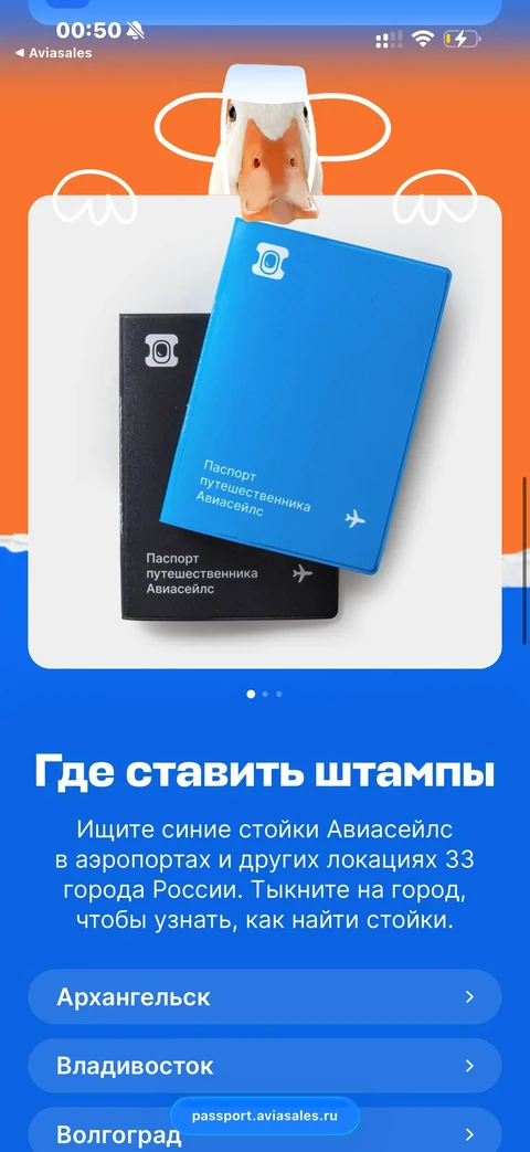 Avisales · Галерея · 21