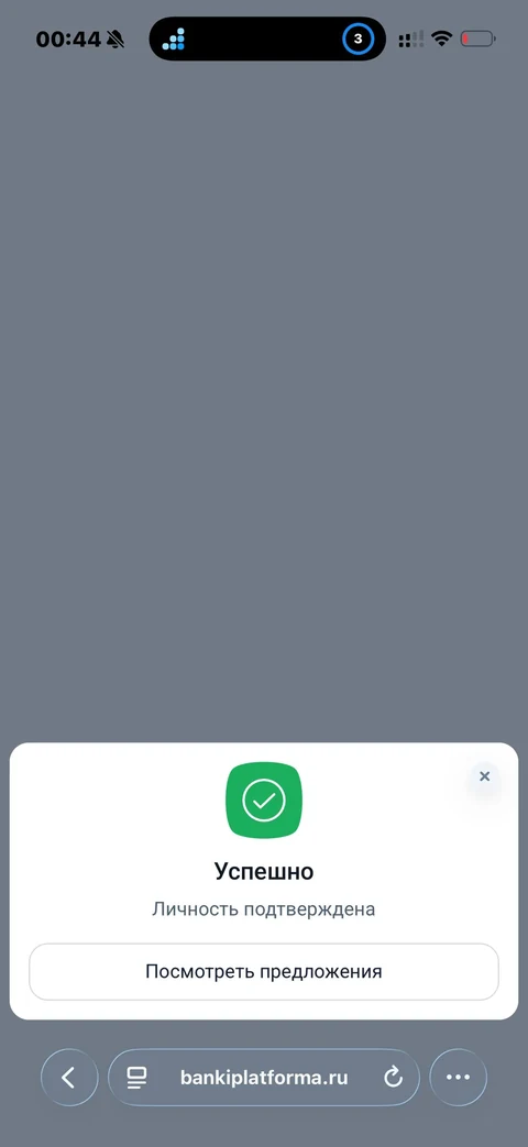 mint-wj64