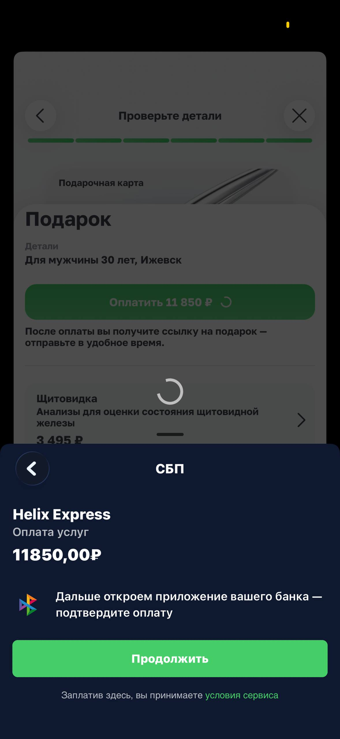 Helix Express · Галерея · 42
