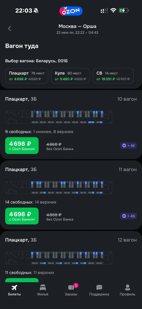 Ozon travel · ЖД · 145