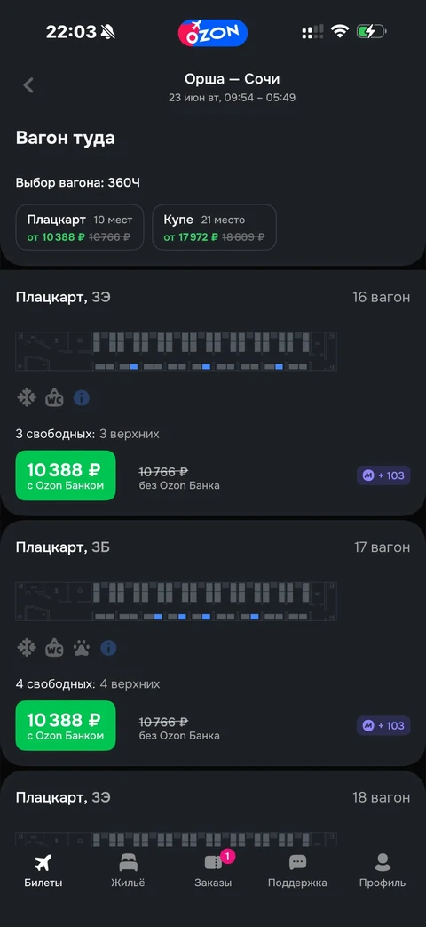 Ozon travel · ЖД · 150
