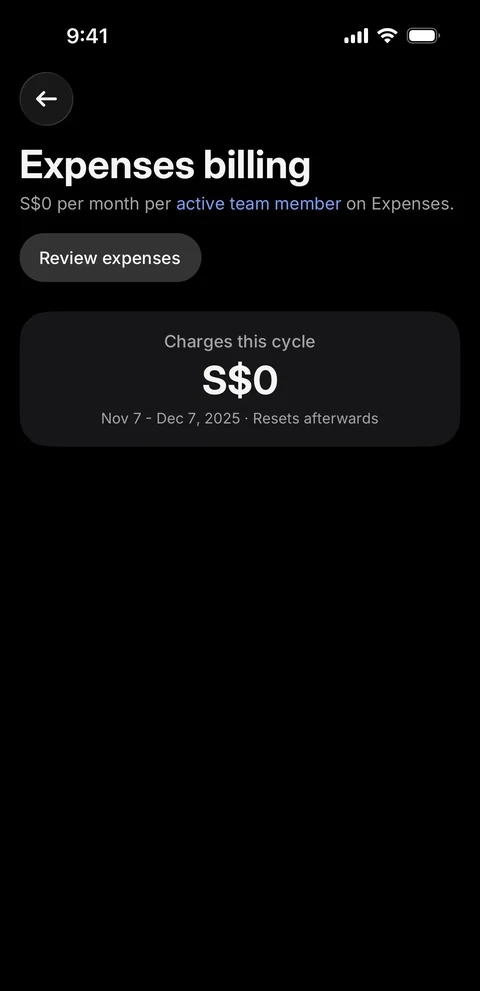 Revolut Бизнес 495
