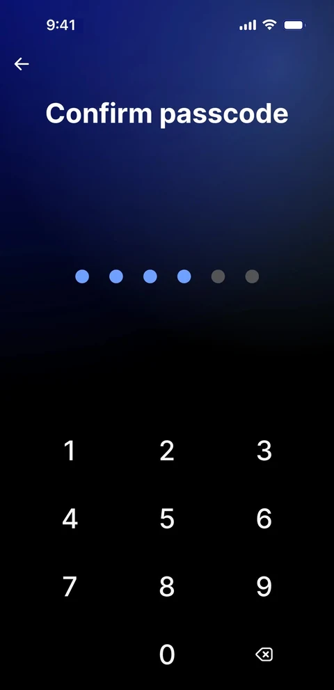 Revolut 651