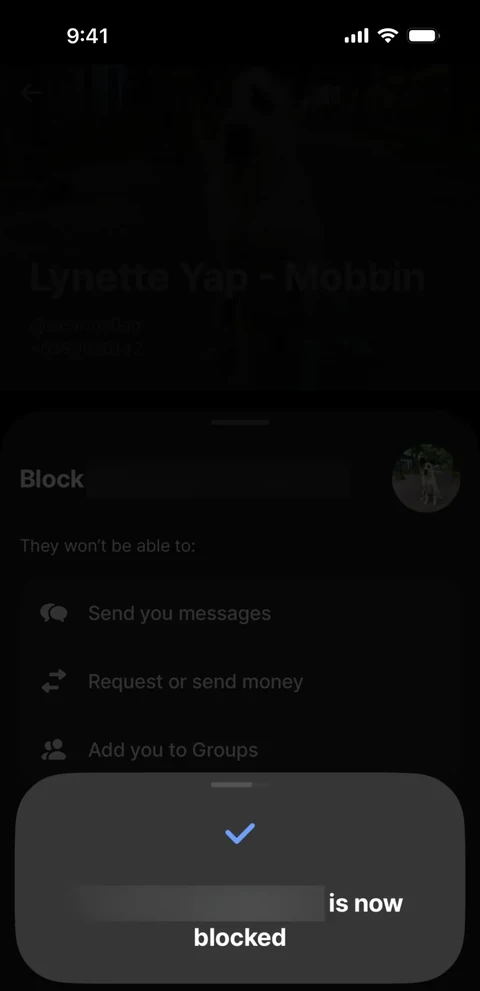 Revolut 481