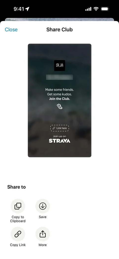 Strava 481