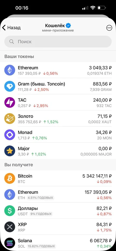dash-hjj94