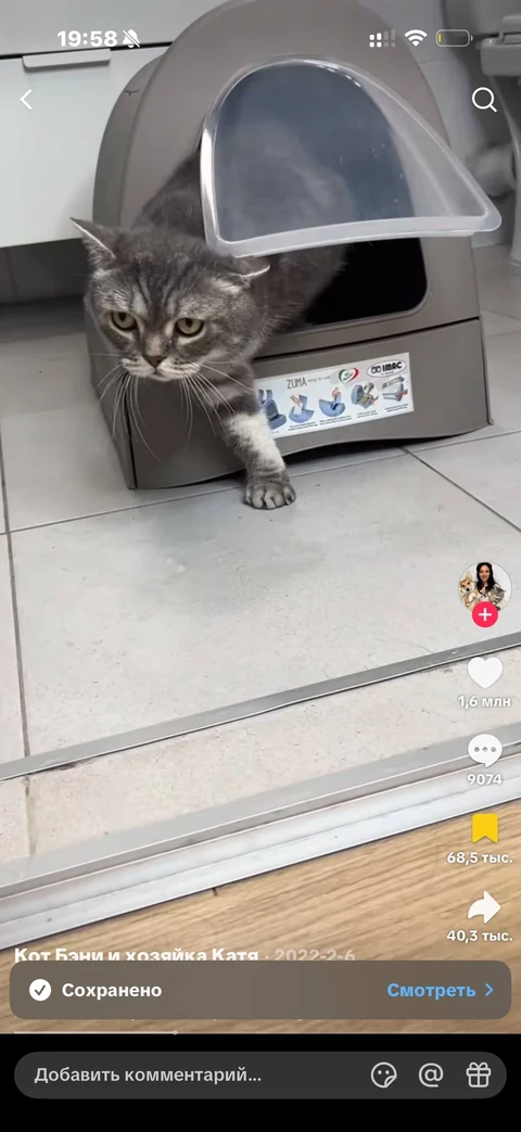 TikTok · Карточка видео · 145