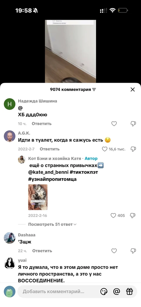 TikTok · Карточка видео · 144