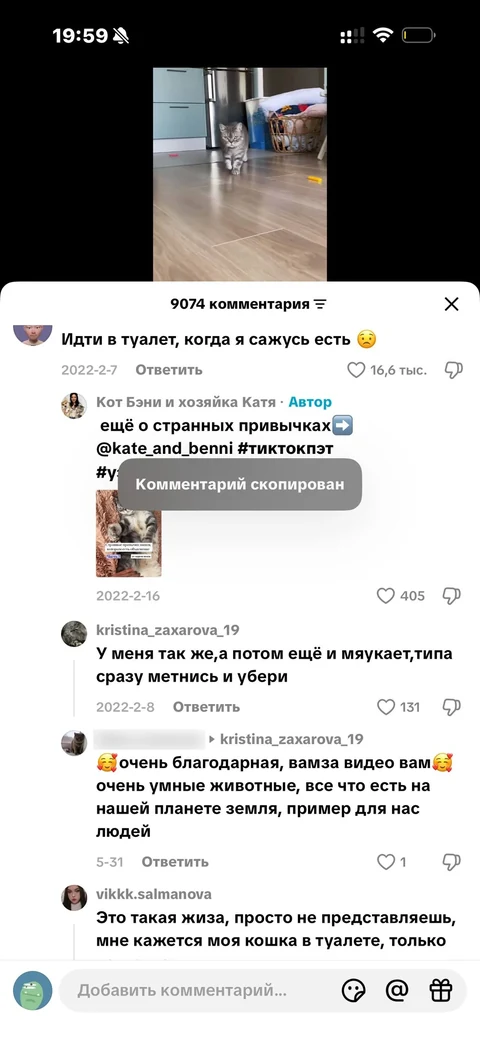 TikTok · Карточка видео · 157