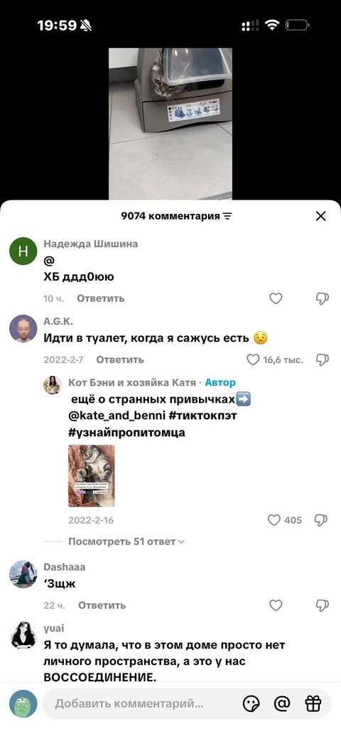 TikTok · Карточка видео · 153
