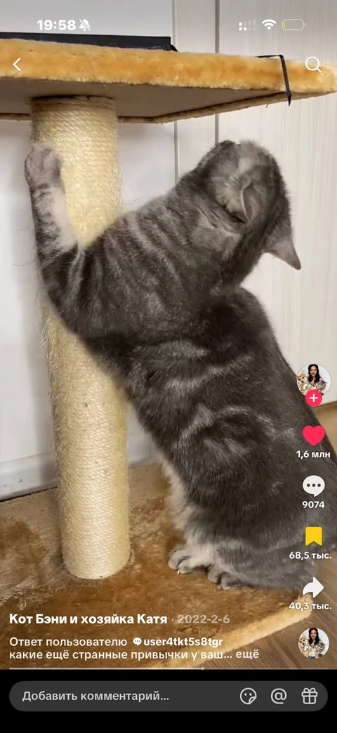TikTok · Карточка видео · 148