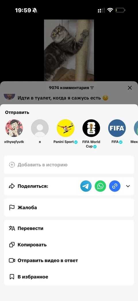 TikTok · Карточка видео · 155