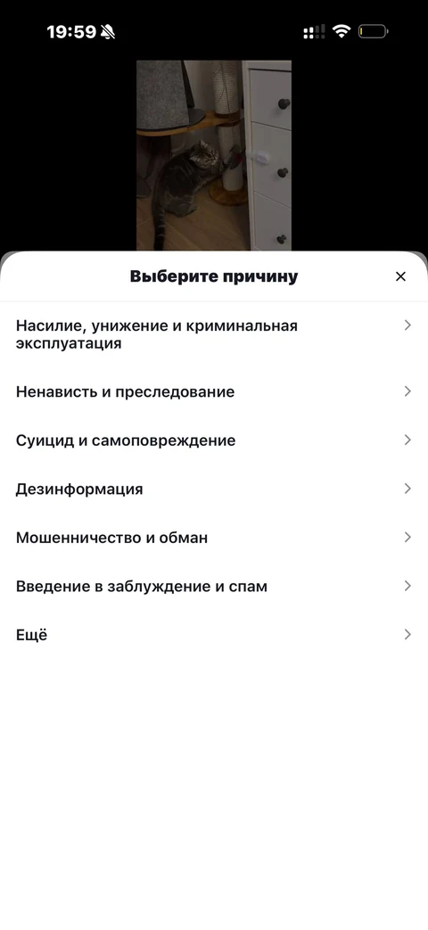 TikTok · Карточка видео · 156