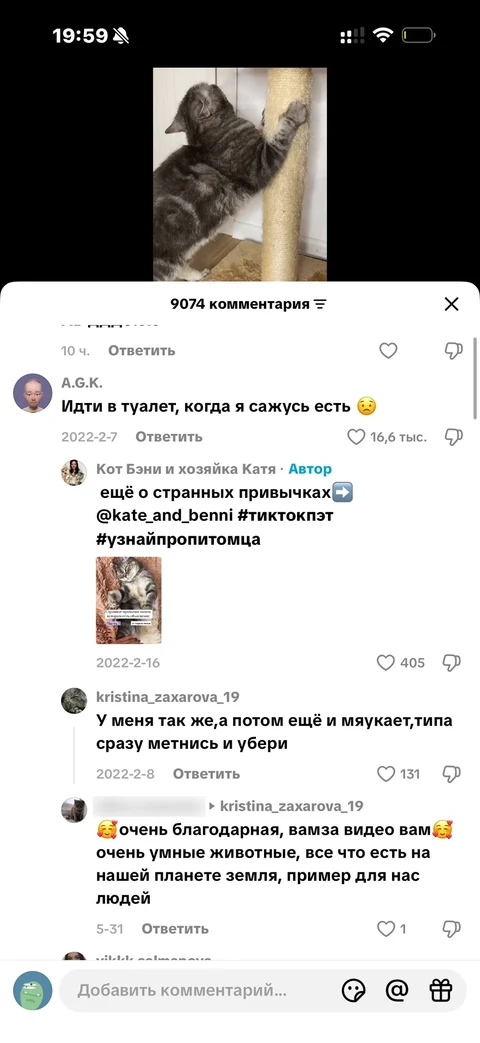 TikTok · Карточка видео · 154
