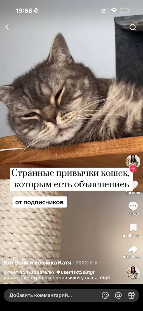 TikTok · Карточка видео · 143