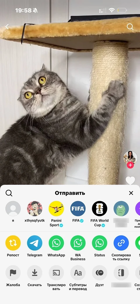 TikTok · Карточка видео · 147