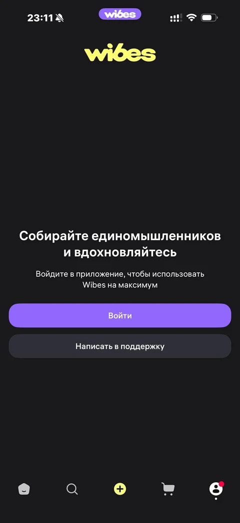 Wibes · Галерея · 17