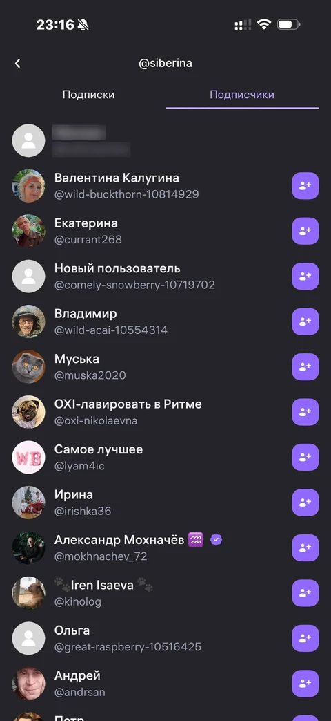 Wibes · Галерея · 55
