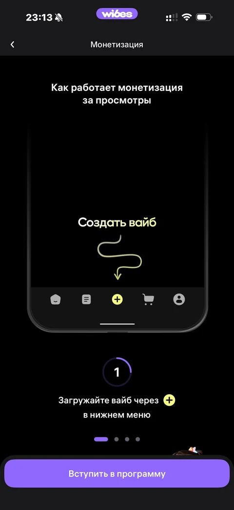 Wibes · Галерея · 29
