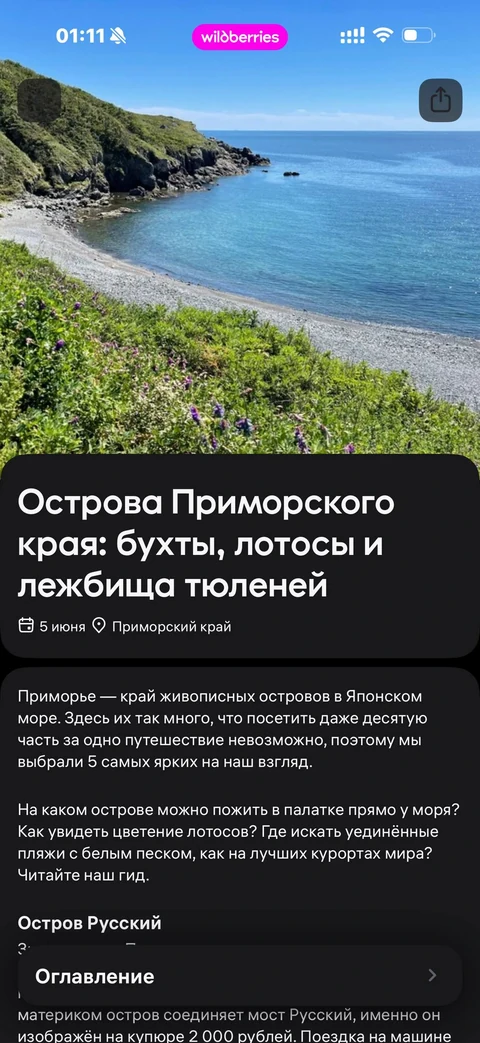 Wildberries · Галерея · 336