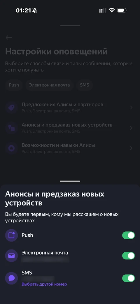 Яндекс Алиса · Галерея · 101