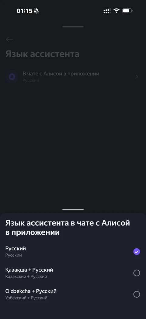 Яндекс Алиса · Галерея · 44