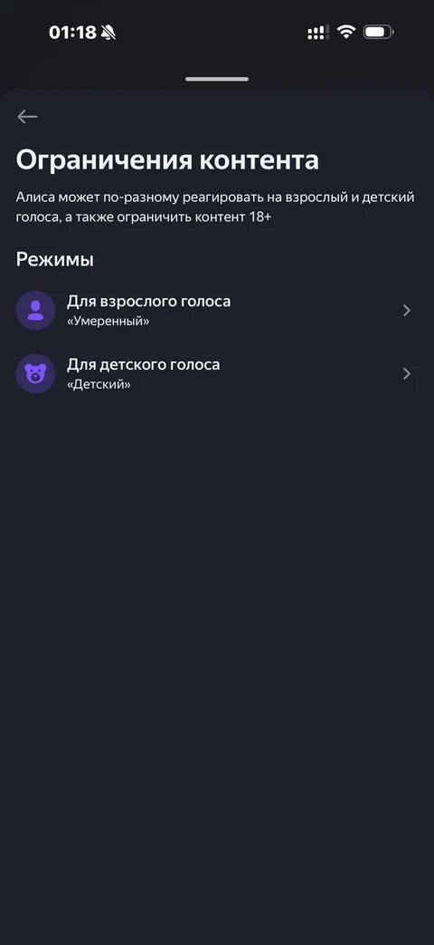 Яндекс Алиса · Галерея · 51