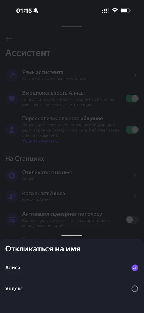 Яндекс Алиса · Галерея · 45