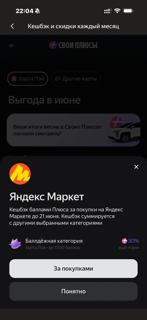 Яндекс Пэй · Плюс · 115
