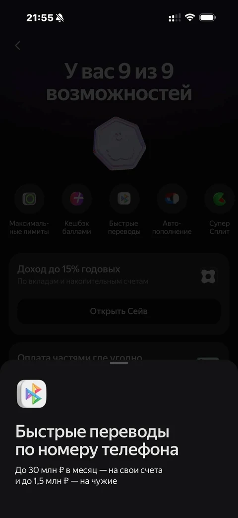 Яндекс Пэй · Профиль · 93