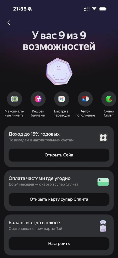 Яндекс Пэй · Профиль · 95