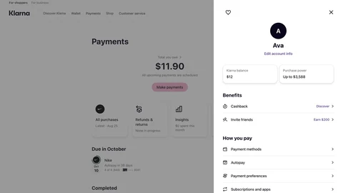 Klarna Web 141
